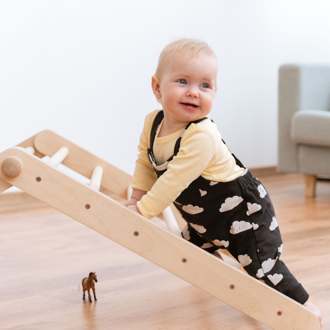 SIPITRI® 2 Segment Climbing Triangle With a Sliding/Climbing Ramp
